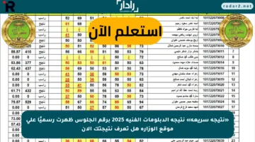 «نتيجة سريعة» نتيجة الدبلومات الفنية 2025 برقم الجلوس ظهرت رسميًا على موقع الوزارة هل تعرف نتيجتك الآن
